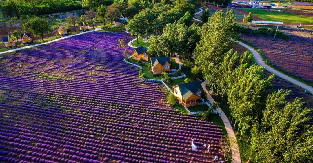 1536564054416220.jpg 2.jpg